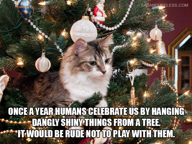 Cat sitting in a Christmas tree thinking, "once a year humans celebrate us by hanging dangly shiny things from a tree. it would be rude not to play with them"